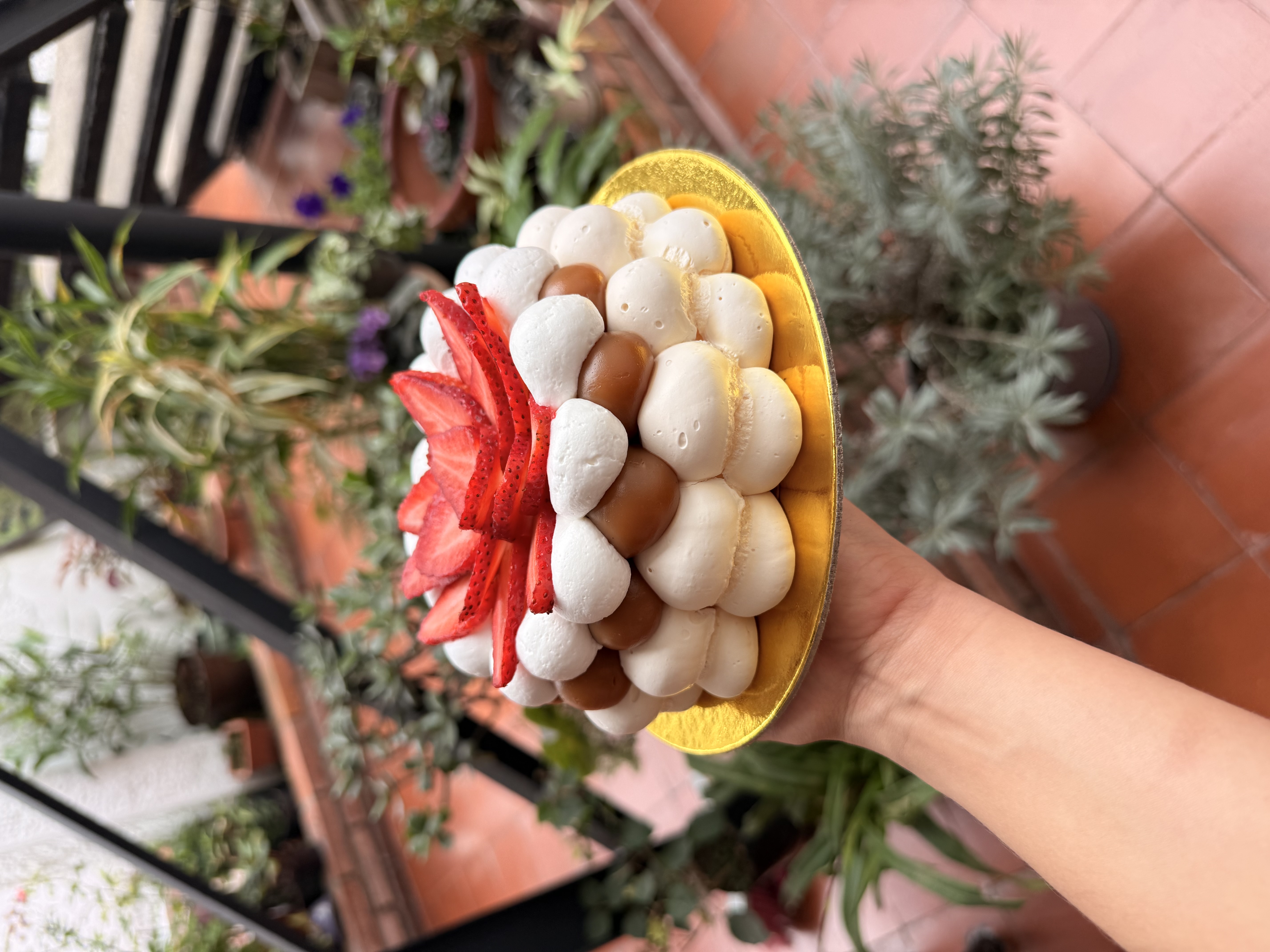 Pavlova Mini